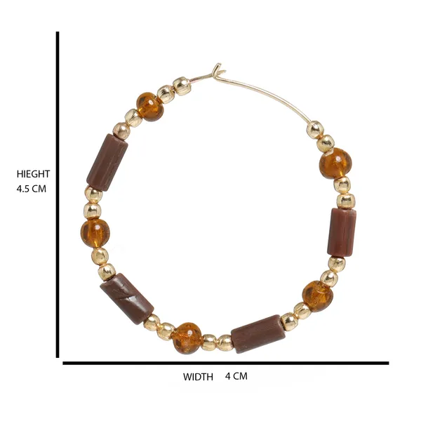Brown_&_Gold_Shiny_Fancy_Dangle_Earring_For_Women