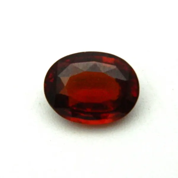 Free_Size_Brown