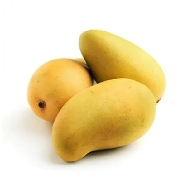 Hybrid_Langra_Mango_Grafting_Plant_(1.5-2_Feet_Height_Pack_Of_1)