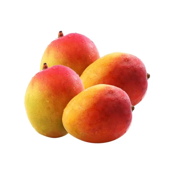 Sindur_Kouta_Mango_Plant_Grafted_Hybrid