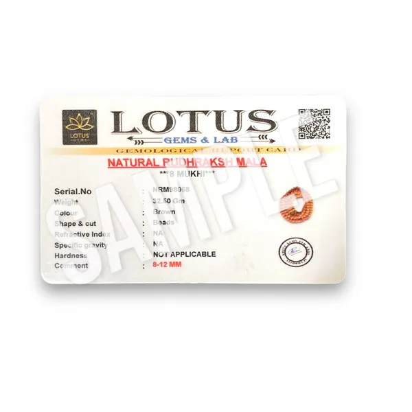 8_MUKHI_RUDHRAKSHA_MALA__LAB_CERTIFIED