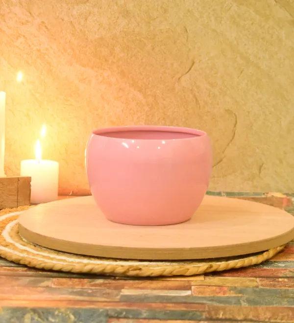 Pink_Planters_for_Home_Decor,Indoor,Outdoor,Plant_Container_5,5inch