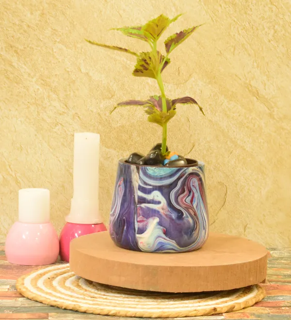 multi_color_Meenakari_Handmade_Pitalnagi_Pots_And_Planter,Home,Indoor,Outdoor,Plant_Container