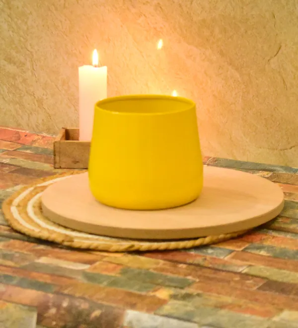 yellow_Planters_for_Home_Decor,Indoor,Outdoor,Plant_Container_5,6inch