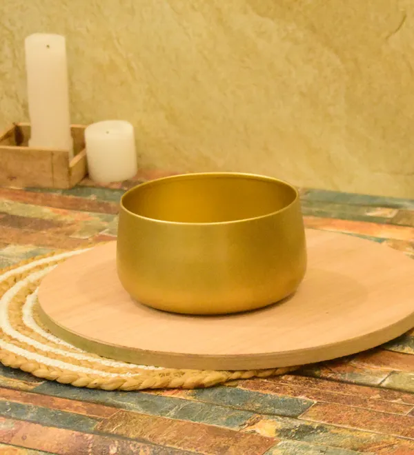 Gold_Mirgan_Planters_for_Home_Decor,Indoor,Outdoor,Plant_Container_5.5,3inch