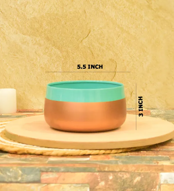 Double_Ton_Planters_for_Home_Decor,Indoor,Outdoor,Plant_Container_5.5,3inch