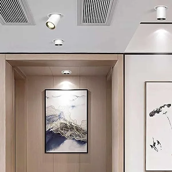 Bamboo_Adjustable_Recessed_LED_COB_Spotlight__12_Watt__WHITE_BODY_PHILIPS_DRIVER