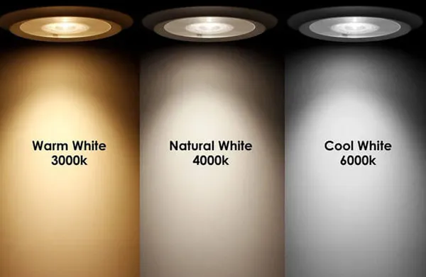 Surface_Cylinder_8_Watt_LED_drum_ceiling_light_Aluminium__BLACK_Body