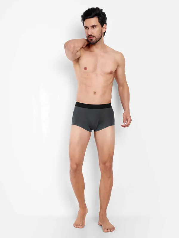 Men's_Underwear_Birla_Modal-Antimicrobial_-Microfibre_Waistband_Pack_of_1-Grey