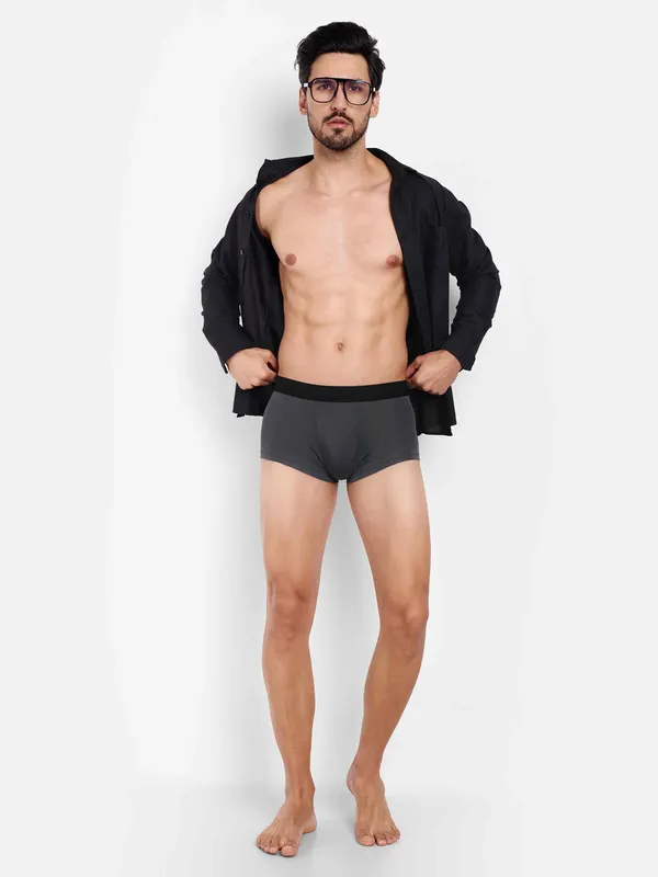 Men's_Underwear_Birla_Modal-Antimicrobial_-Microfibre_Waistband_Pack_of_1-Grey