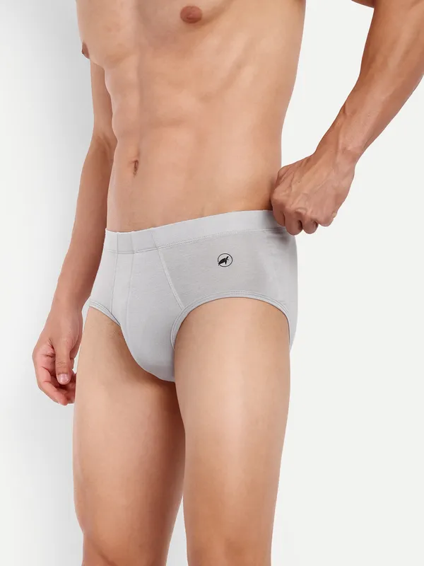 Combo_of_2_Men_Boxer_Briefs_-_Birla_Modal_-Good_ventilation_and_moisture_Anti_Bacterial,Moisture_Wicking_Elastane_Stretch_Mint-Grey_Pack_of_2