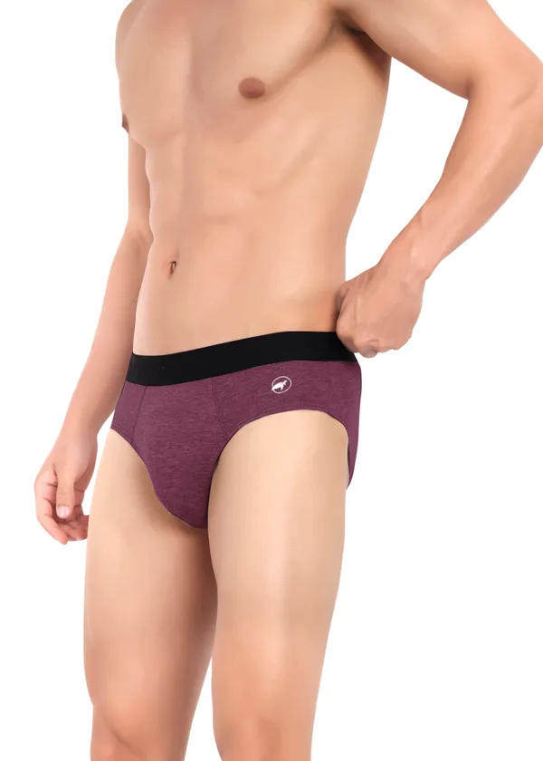 Combo_of_2_Men_Briefs_-Cotton_Lycra_-_Anti_Bacterial,Moisture_Wicking_Ultrasoft_Waistband_Pack_of_2-Black-Wine