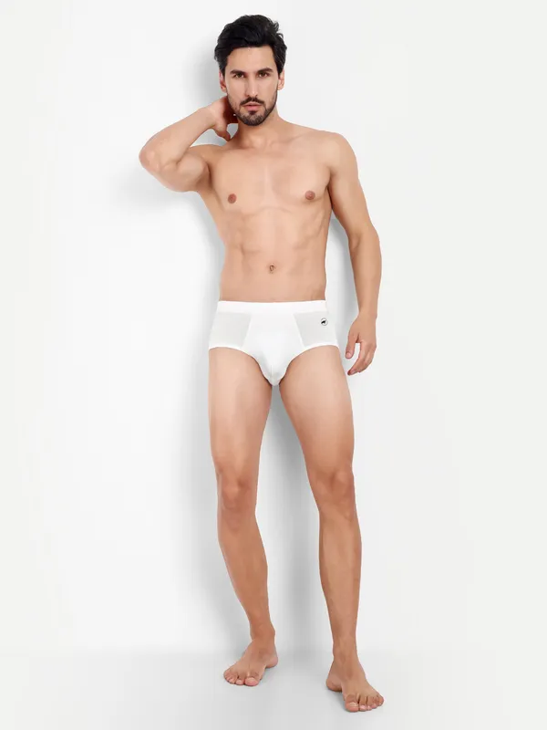 Men_Boxer_Briefs_-_Birla_Modal_-Good_ventilation_and_moisture_Anti_Bacterial,_Moisture_Wicking_Elastane_Stretch_Grey-Brown-White_Pack_of_3