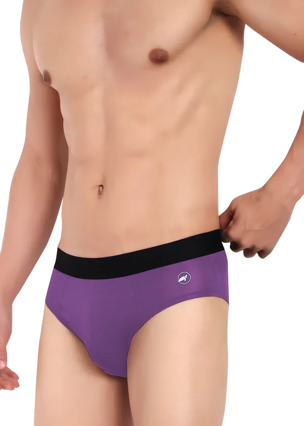 Combo_of_2_Men_Briefs_-Birla_Modal-_Anti_Bacterial,Moisture_Wicking_Ultrasoft_Waistband_Pack_of_2-E.Blue-Purple