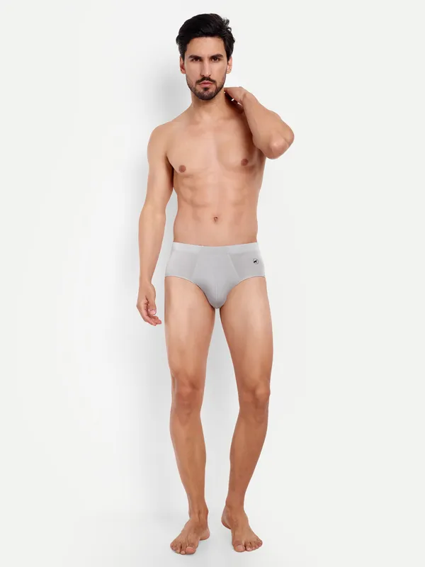 Combo_of_2_Men_Boxer_Briefs_-_Birla_Modal_-Good_ventilation_and_moisture_Anti_Bacterial,Moisture_Wicking_Elastane_Stretch_Beige-Grey_Pack_of_2