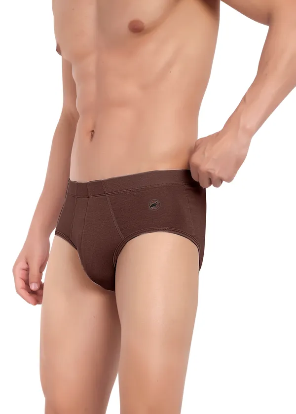 Combo_of_2_Men_Boxer_Briefs_-_Birla_Modal_-Good_ventilation_and_moisture_Anti_Bacterial,Moisture_Wicking_Elastane_Stretch_Mint-Brown_Pack_of_2