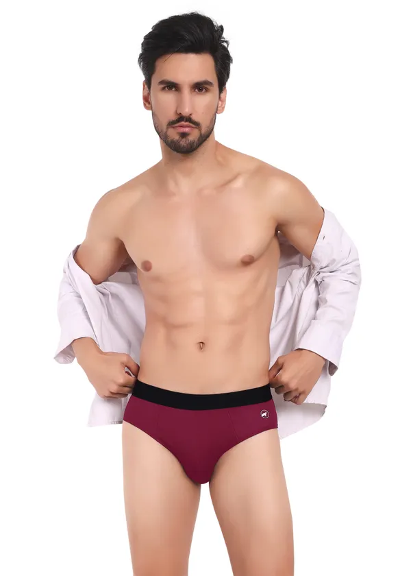 Men_Briefs_-Birla_Modal-_Anti_Bacterial,Moisture_Wicking_Ultrasoft_Waistband_Pack_of_1-Maroon