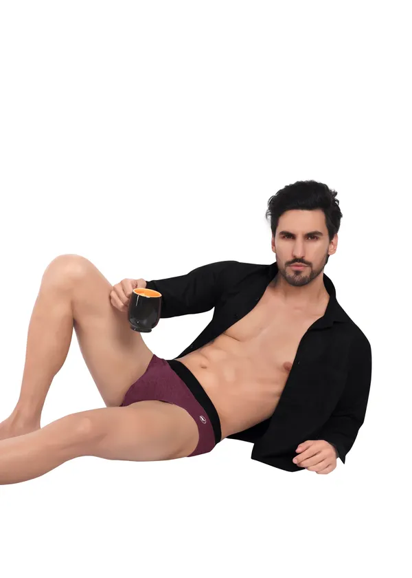 Combo_of_2_Men_Briefs_-Cotton_Lycra_-_Anti_Bacterial,Moisture_Wicking_Ultrasoft_Waistband_Pack_of_2-DarkGrey-Wine