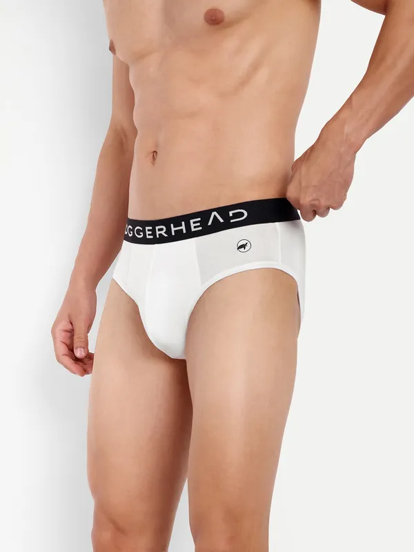 Combo_of_2_Men_Briefs_-Birla_Modal-_Anti_Bacterial,Moisture_Wicking_Ultrasoft_Waistband_Pack_of-2-Bitter-White