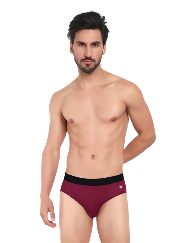 Combo_of_2_Men_Briefs_-Birla_Modal-_Anti_Bacterial,Moisture_Wicking_Ultrasoft_Waistband_Pack_of_2-E.Blue-Maroon
