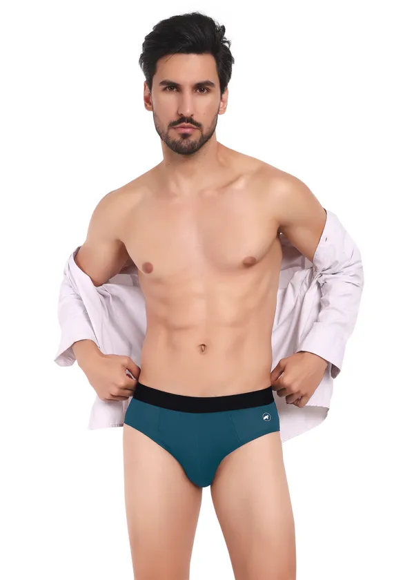 Men_Briefs_-Birla_Modal-_Anti_Bacterial,Moisture_Wicking_Ultrasoft_Waistband_Pack_of_1-R.Blue