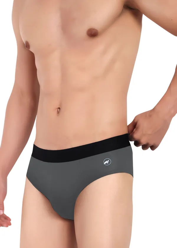 Combo_of_2_Men_Briefs_-Birla_Modal-_Anti_Bacterial,Moisture_Wicking_Ultrasoft_Waistband_Pack_of_2-Maroon-S.Grey
