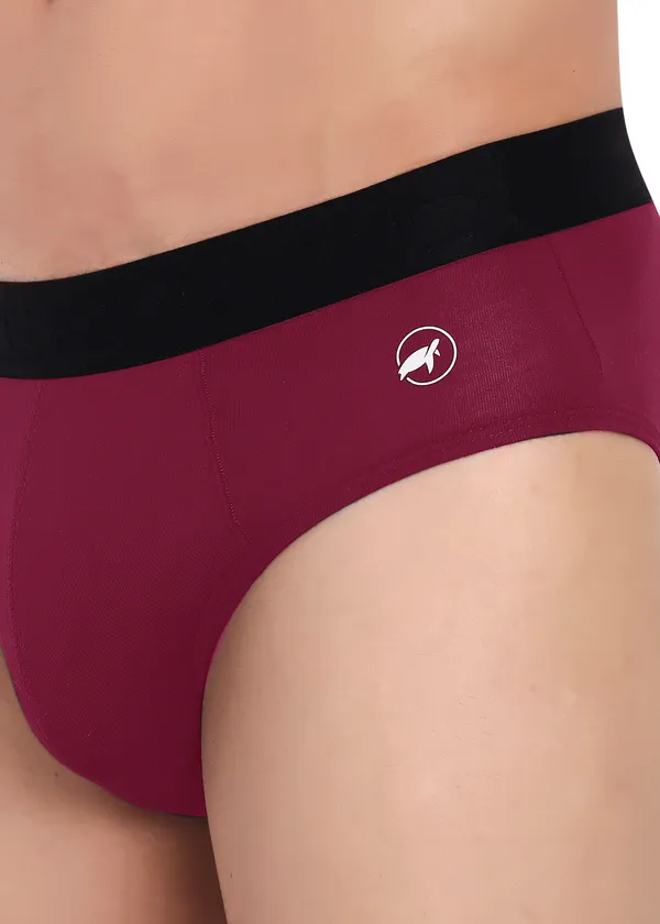 Combo_of_2_Men_Briefs_-Birla_Modal-_Anti_Bacterial,Moisture_Wicking_Ultrasoft_Waistband_Pack_of_2-Maroon-S.Grey
