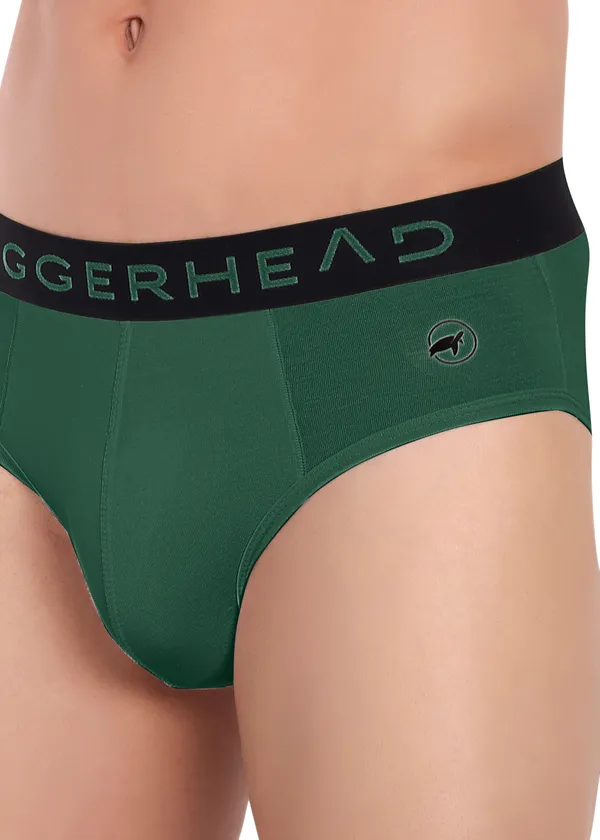 Men_Briefs_-Birla_Modal-_Anti_Bacterial,Moisture_Wicking_Ultrasoft_Waistband_Pack_of-1-Garden