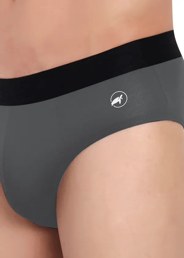 Combo_of_2_Men_Briefs_-Birla_Modal-_Anti_Bacterial,Moisture_Wicking_Ultrasoft_Waistband_Pack_of_2-S.Grey-White