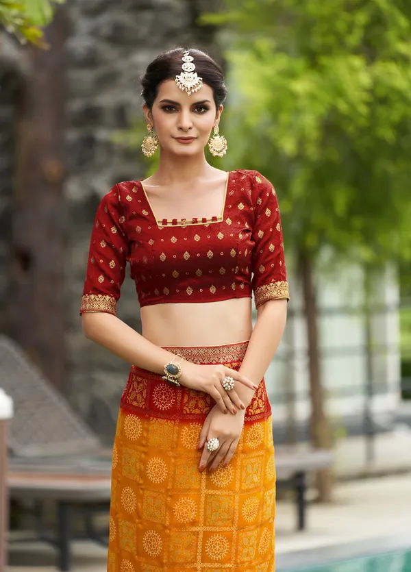 Georgette_material_bandhej_printed_hand_foil_saree_with_banarasi_blouse_piece