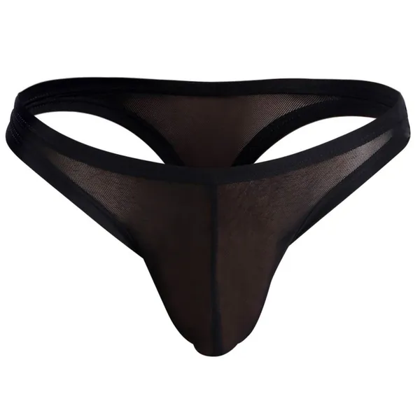 Black_Sheer_Thong_Underwear_For_Men