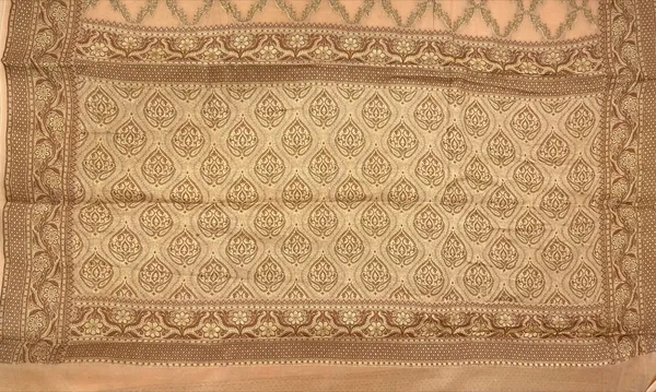 Humairah_Presents_Pure_Handwoven_Cream_Chiffon_Kadiyal_Copper_Zari_Jaal_and_Resham_Mina_Zari_Boota_Pallu_with_Cream_Blouse