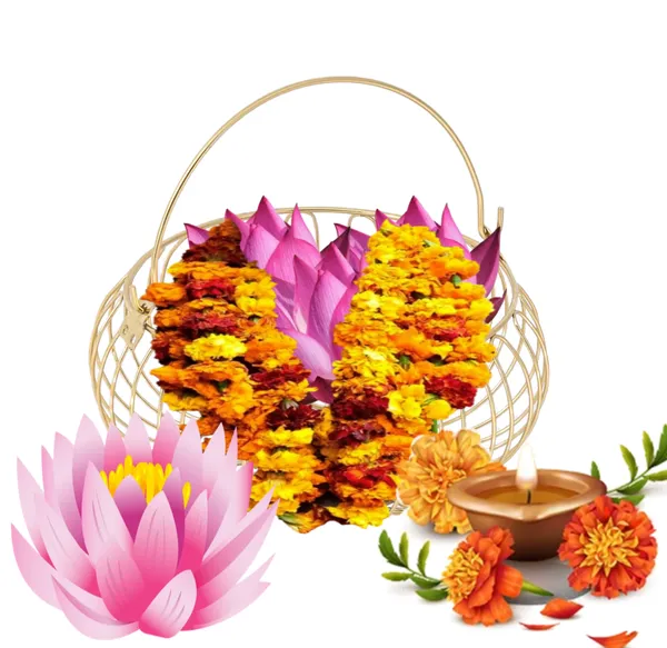 Fruit_&_vegitable_storage_basket_with_handle