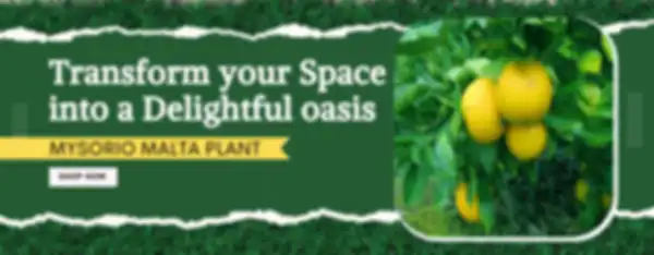 BANNERS_undefined__undefined