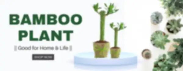BANNERS_undefined__undefined
