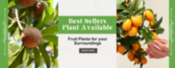 BANNERS_undefined__undefined