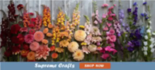 BANNER_undefined__undefined