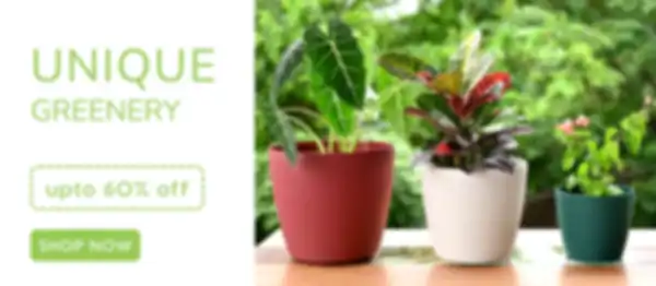 BANNER_undefined__undefined