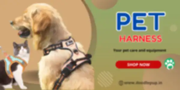 BANNER_undefined__undefined