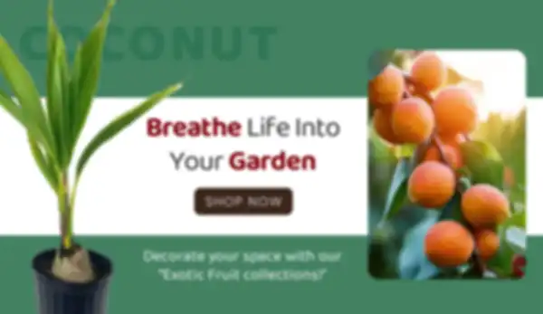 BANNER_undefined__undefined