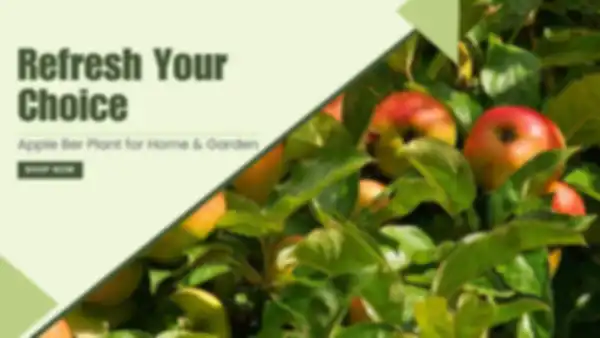 BANNER_undefined__undefined