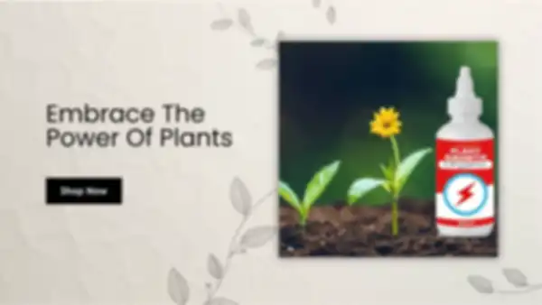 BANNER_undefined__undefined