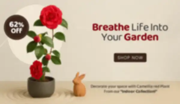 BANNER_undefined__undefined
