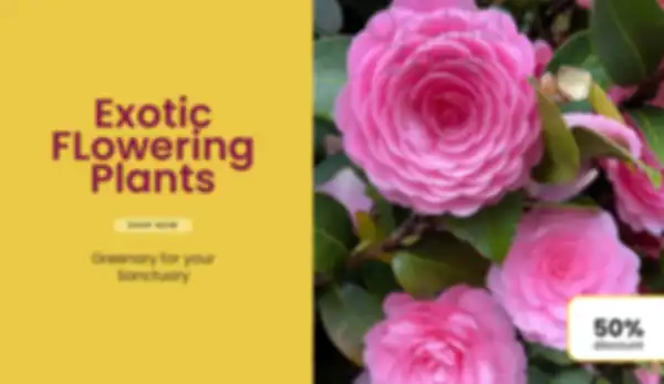 BANNER_undefined__undefined