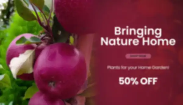 BANNER_undefined__undefined