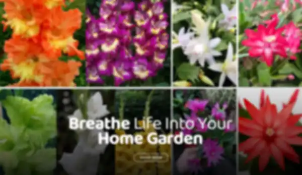 BANNER_undefined__undefined