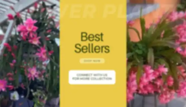 BANNER_undefined__undefined