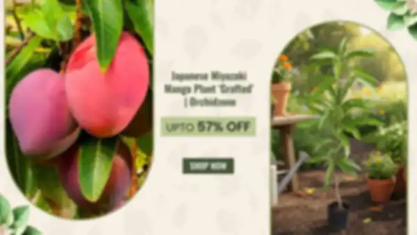 BANNER_undefined__undefined