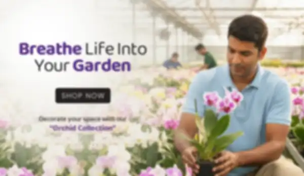 BANNER_undefined__undefined