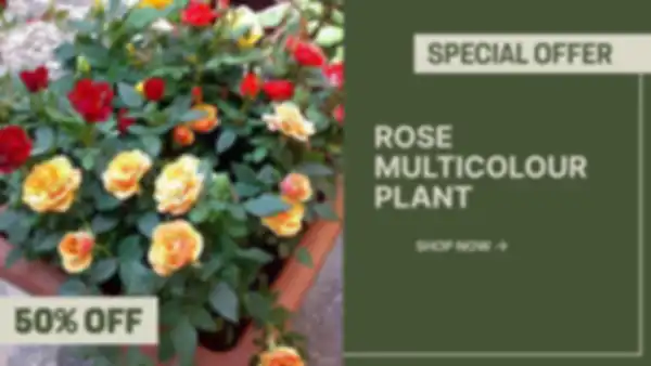 BANNER_undefined__undefined